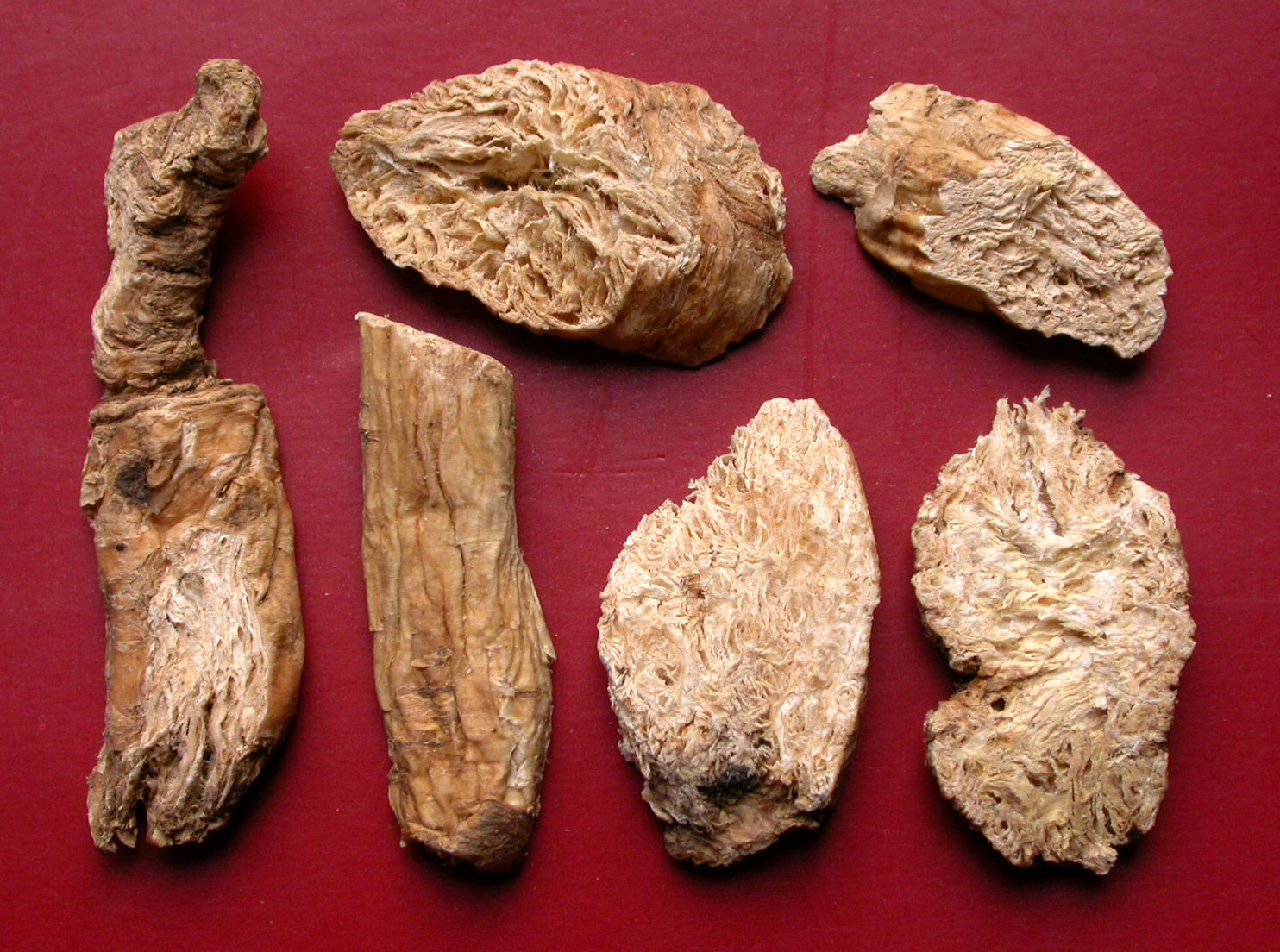 中药-南沙参-饮片.jpg