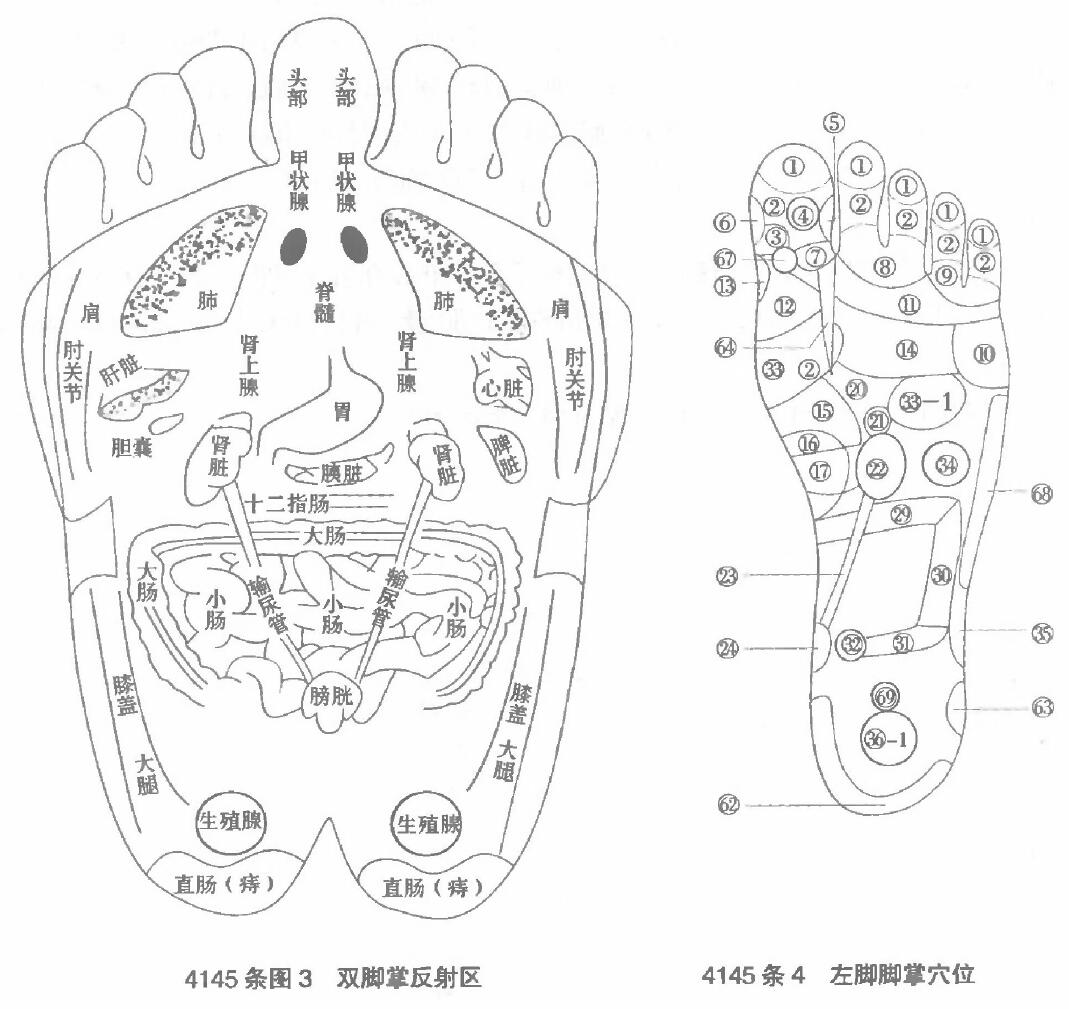 脚部病理反射点.jpg
