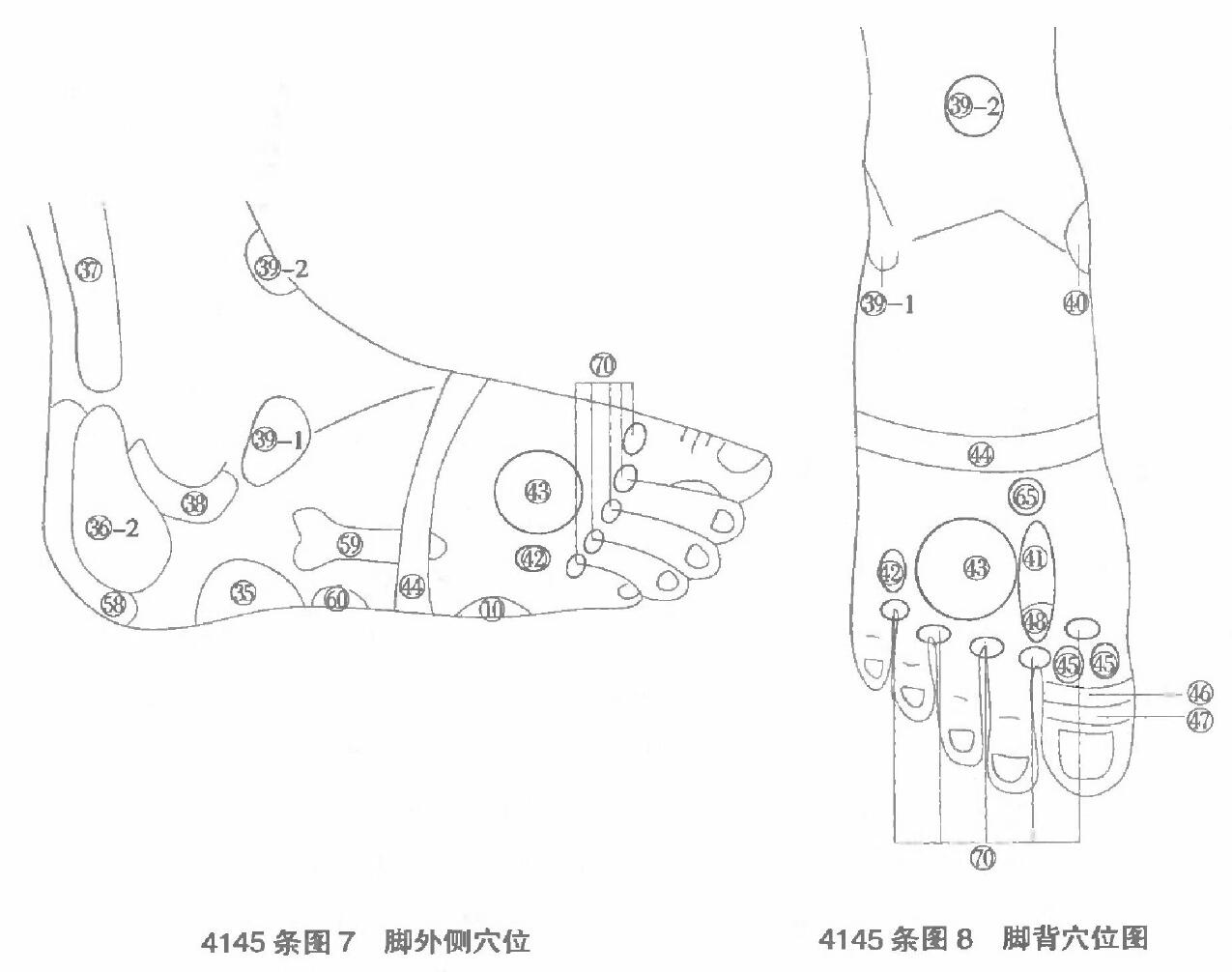 脚外侧部位、脚背部位.jpg